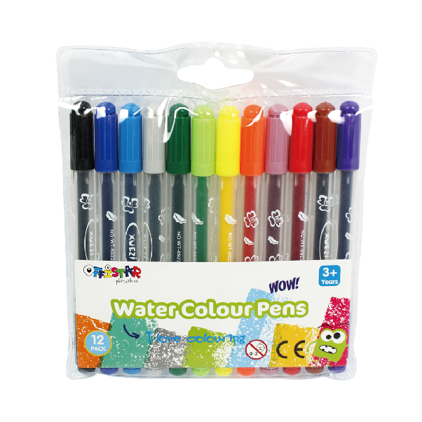 dual tip water colour pen